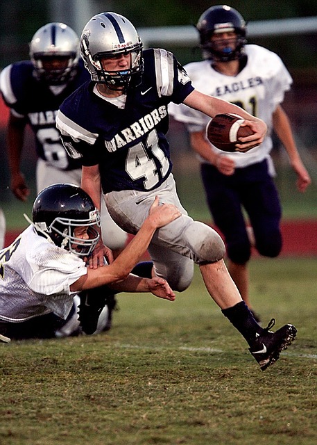 对职业运动 对职业运动