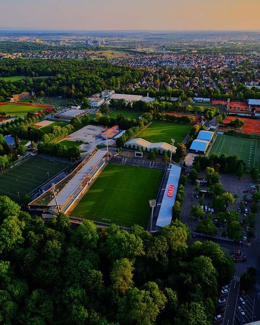 来的损失 来的损失