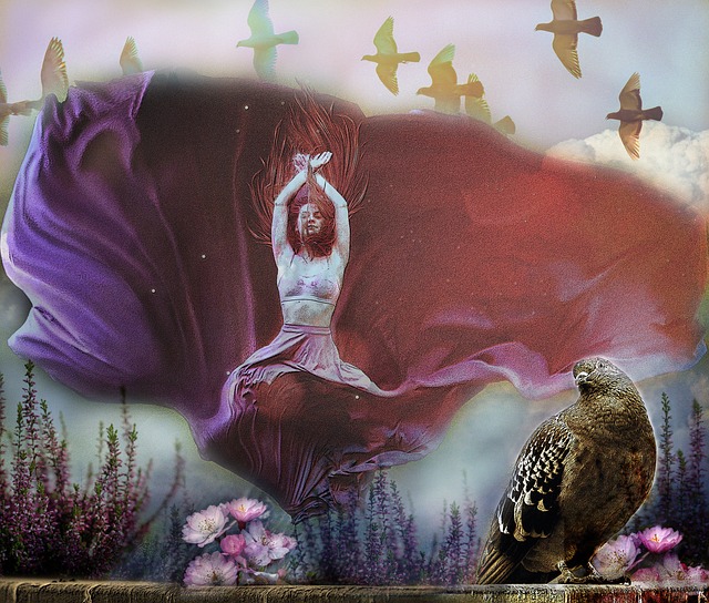 革新与坚持 革新与坚持