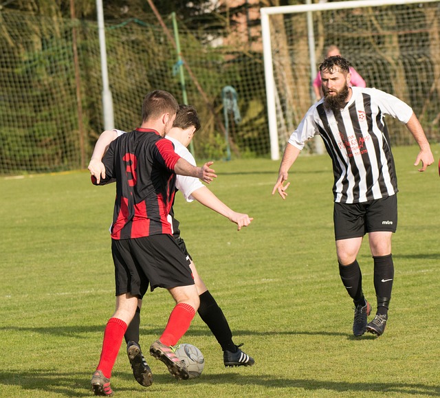 他们就可能 他们就可能